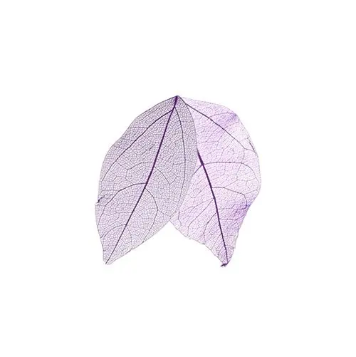 Suhi lističi - vijoličasti