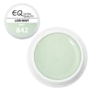 UV-gel Extra Quality 5g – 842 Dry - Lori Mint