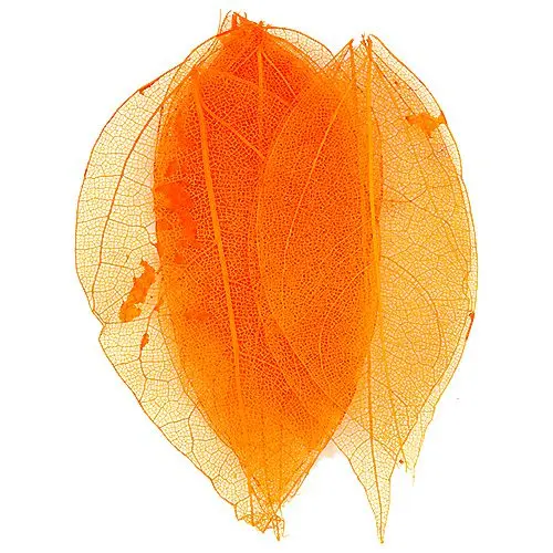 Oranžno suho listje